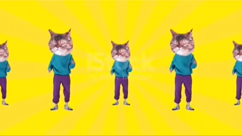 Cats Funny Video with Tenge Tenge