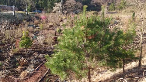 Our flower garden and scenery in Nasu, Japan.