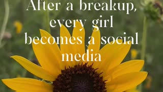 social media healing