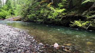 2+ MINUTES OF SOOTHING SILENCE! | House Rock Campground @ South Santiam River! | Central Oregon | 4K