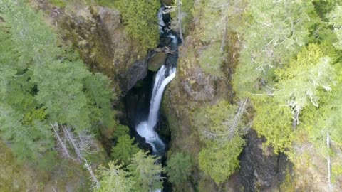 Lena Creek Tree-top view