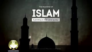 The Meaning of Islam