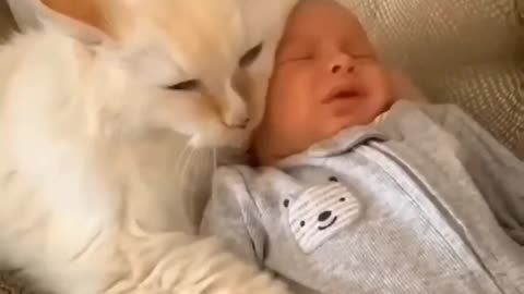 Baby and cat love 😘😍❤️💜🤩💗💘💝💕 friendship and care💜💘💝❤️💜😍😘💕🌈🥰😂