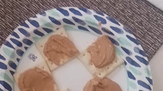 Homemade peanut butter