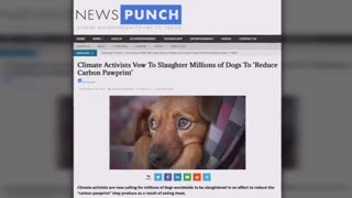 THE WEF BACKED BY MSM ARE CALLING FOR YOU TO KILL YOUR PETS TO ‘SAVE THE PLANET’