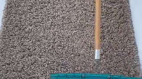 #carpetraking #carpetgrooming