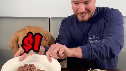 Feeding A Dog $1 vs $10,000 Steak