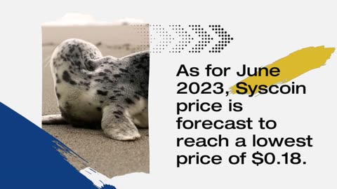 Syscoin Price Prediction 2023 SYS Crypto Forecast up to $0.25