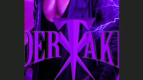 Wwe roman reigns vs undertaker