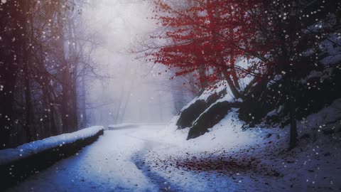 Farewell Snowfall Beauty of nature Free HD Videos