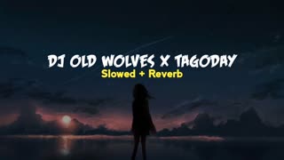 DJ OLD WOLVES X TAGODAY X LELOLAY AKIMILAKU SLOW BASS VIRAL TIKTOK