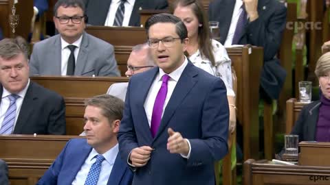 Poilievre condemns all forms of misogyny while calling out Trudeau for all the times he didn't