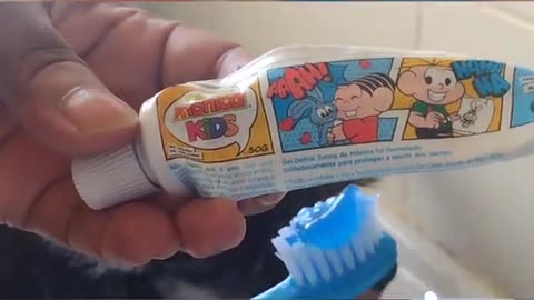 brushing pet teeth