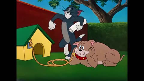 Tom and Jerry show