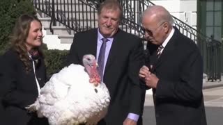 Biden pardons turkey and communicates with it carefully#funny #usa #biden #turkey #thanksgiving