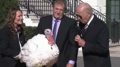 Biden pardons turkey and communicates with it carefully#funny #usa #biden #turkey #thanksgiving