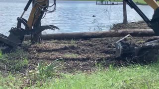 Mulching Stumps and Debris At Main Pond