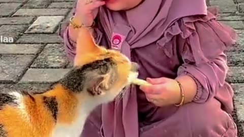 Cat and cute baby