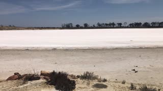 Lake Pallarup Salt Lake Western Australia