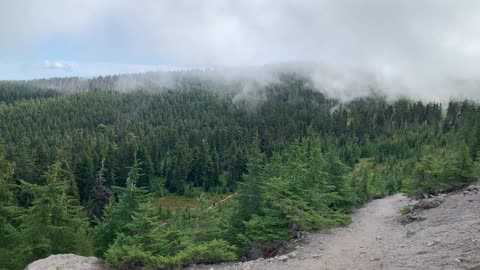 Oregon – Mount Hood – Misty Alpine Wonderland – 4K