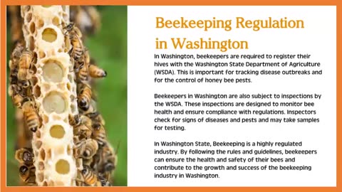 Beekeeping Supplies Washington