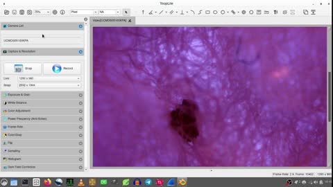 Nanobots seen growing under microscope after devax 31