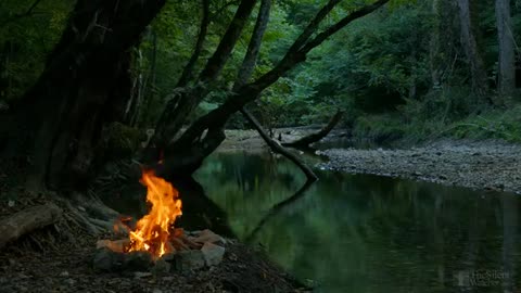 4k Campfire by the river - Relaxing fireplace & nature 🌲