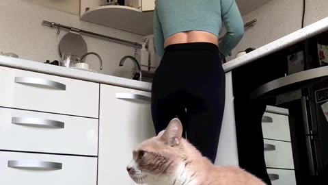 Cat Hungry 🤤
