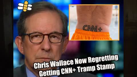 CHRIS WALLACE "THE WEASEL" OWES THE USA AN APOLOGY!! CONGRATULATIONS ON THE CNN PLUS SUCCESS!