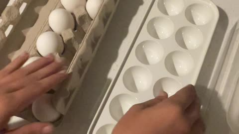 Egg Carton Kitchen Hack