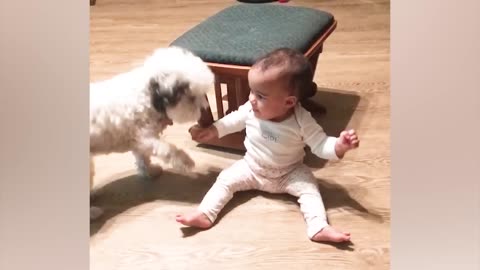 Babies and pets funny 😂 Best video babies and pets are playing together 😍