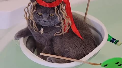 captain cat sparrow (Jack Sparrow)