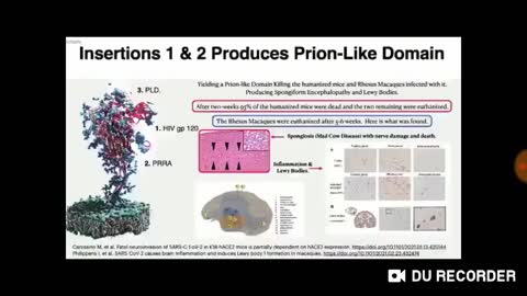 Dr gives 2min Spike Protein lesson