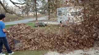 Dogs enjoying leaves for the fall season