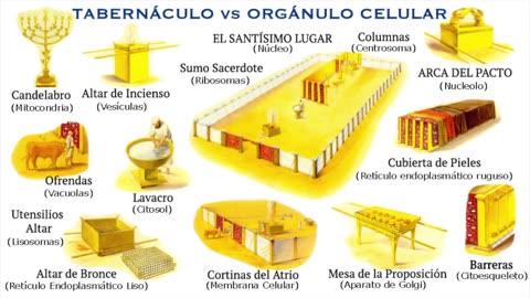 179. La Biblia a escala Cuántica - 1 EL TABERNÁCULO