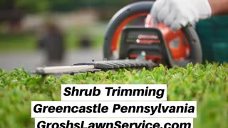 Shrub Trimming Greencastle Pennsylvania