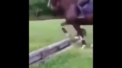 Need something fun? Watch these funny and cute Horse Videos .