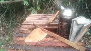 Beekeeping And It Challenges In Hostile Environment