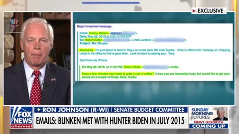 Sen. Ron Johnson Has Proof Blinken Lied to Congress Under Oath