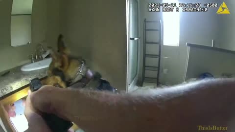 Wagoner County deputies release bodycam footage of the moment the search for a violent offender ends