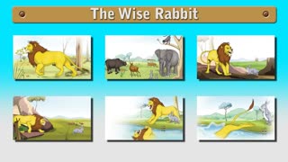 The Wise Rabbit