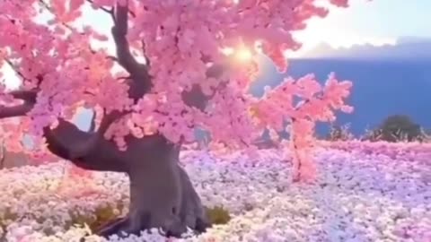 Sakura Eden