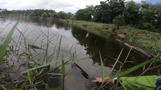 Top 3 pond monsters