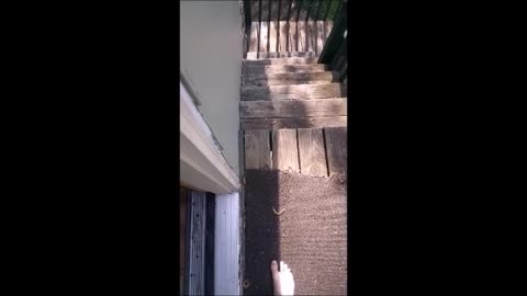 Neighbor Refuses to Leave, Doesn't Understand How Trespassing Laws Work