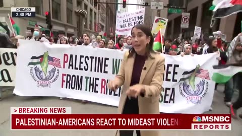 Palestinian-Americans hold rally in Chicago