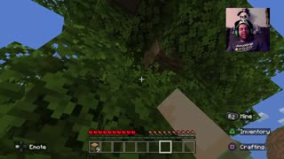 The Panda Sanctuary has come a long way!! Minecraft