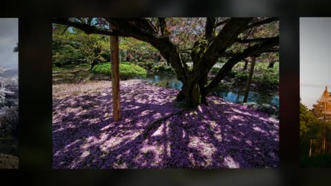 Kenrokuen Garden – Ishikawa, Japan's Oldest Garden