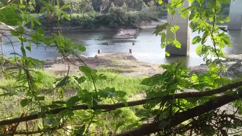 17.5.2024 The Barron River, Kuranda