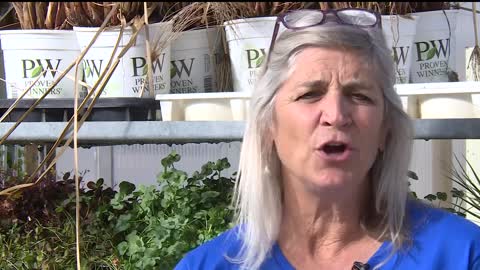 Garden expert says this warm weather is a blessing many gardeners and homeowners have overlooked