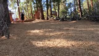 Oh What Fun! Ziplining at Evergreen Lodge Yosemite